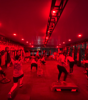 Captura de pantalla 2024-11-21 a la(s) 3.58.06 p. m.